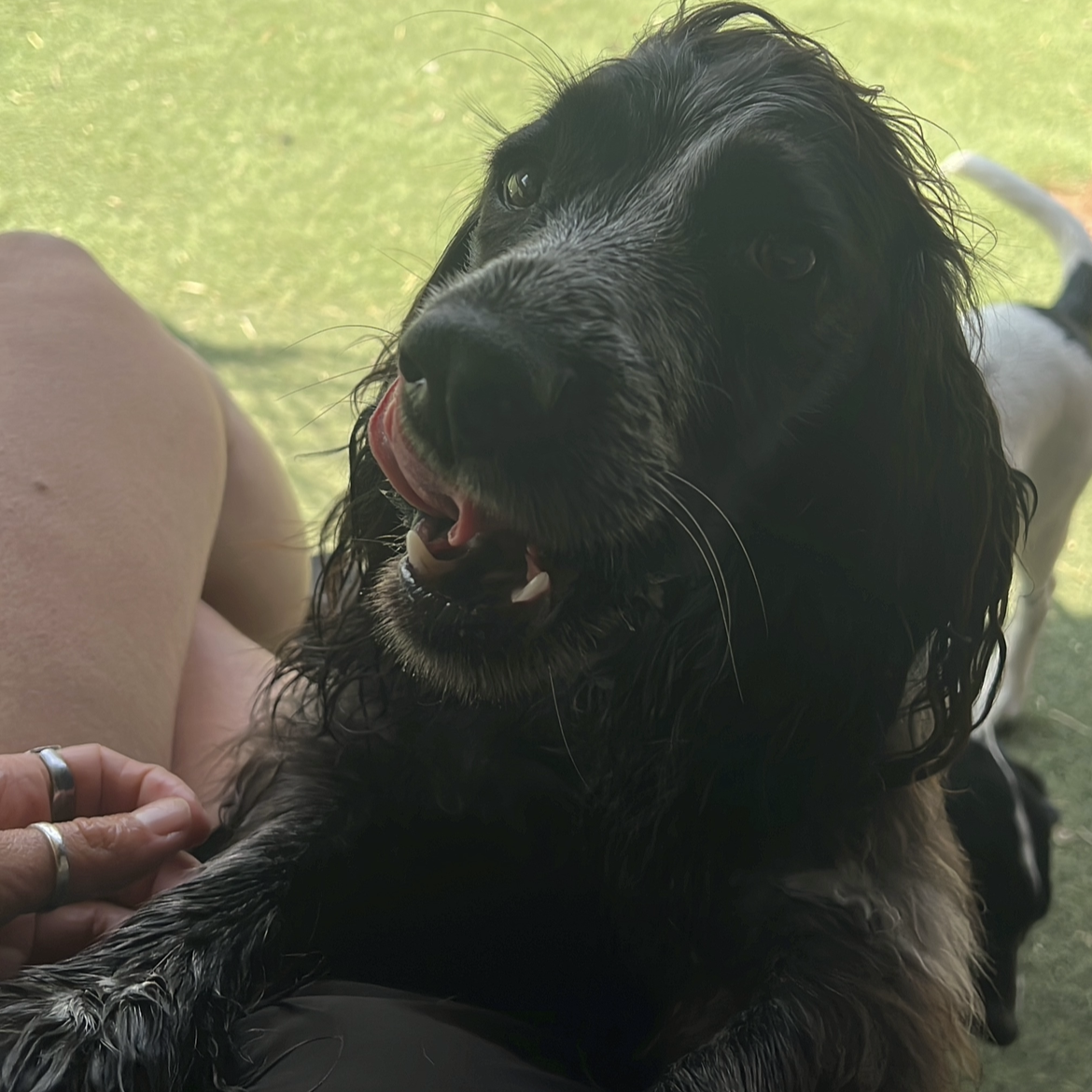 Cuddles after a splash
