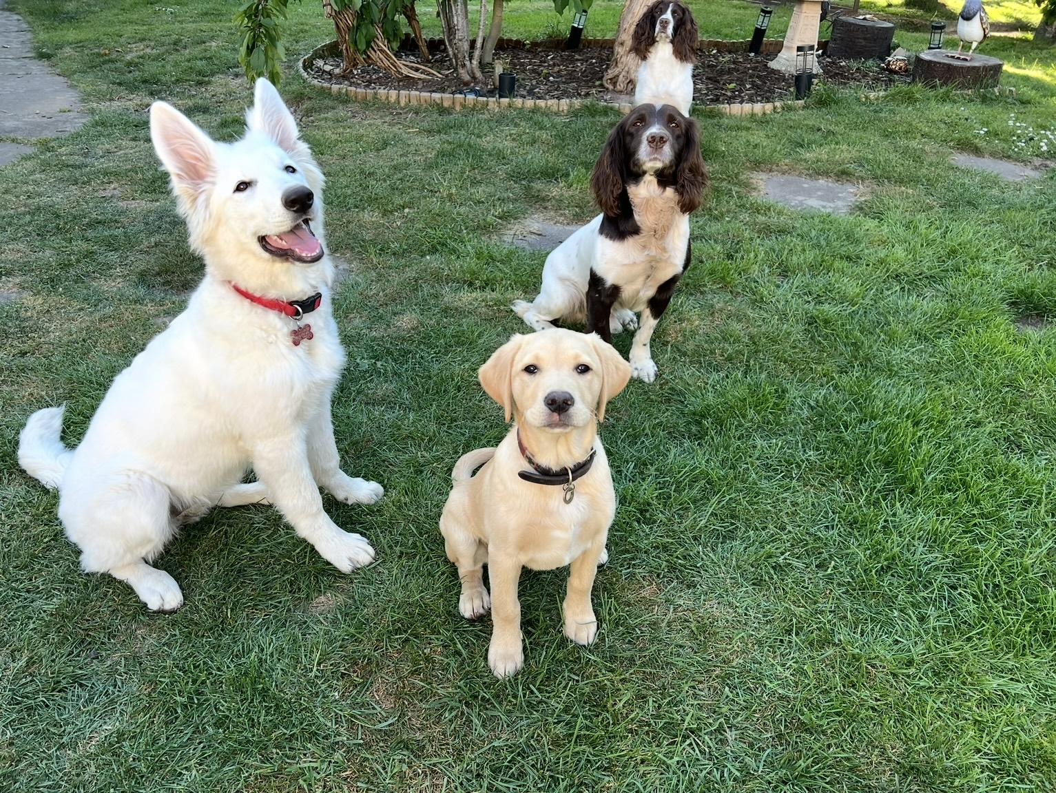 A happy group ready for adventure