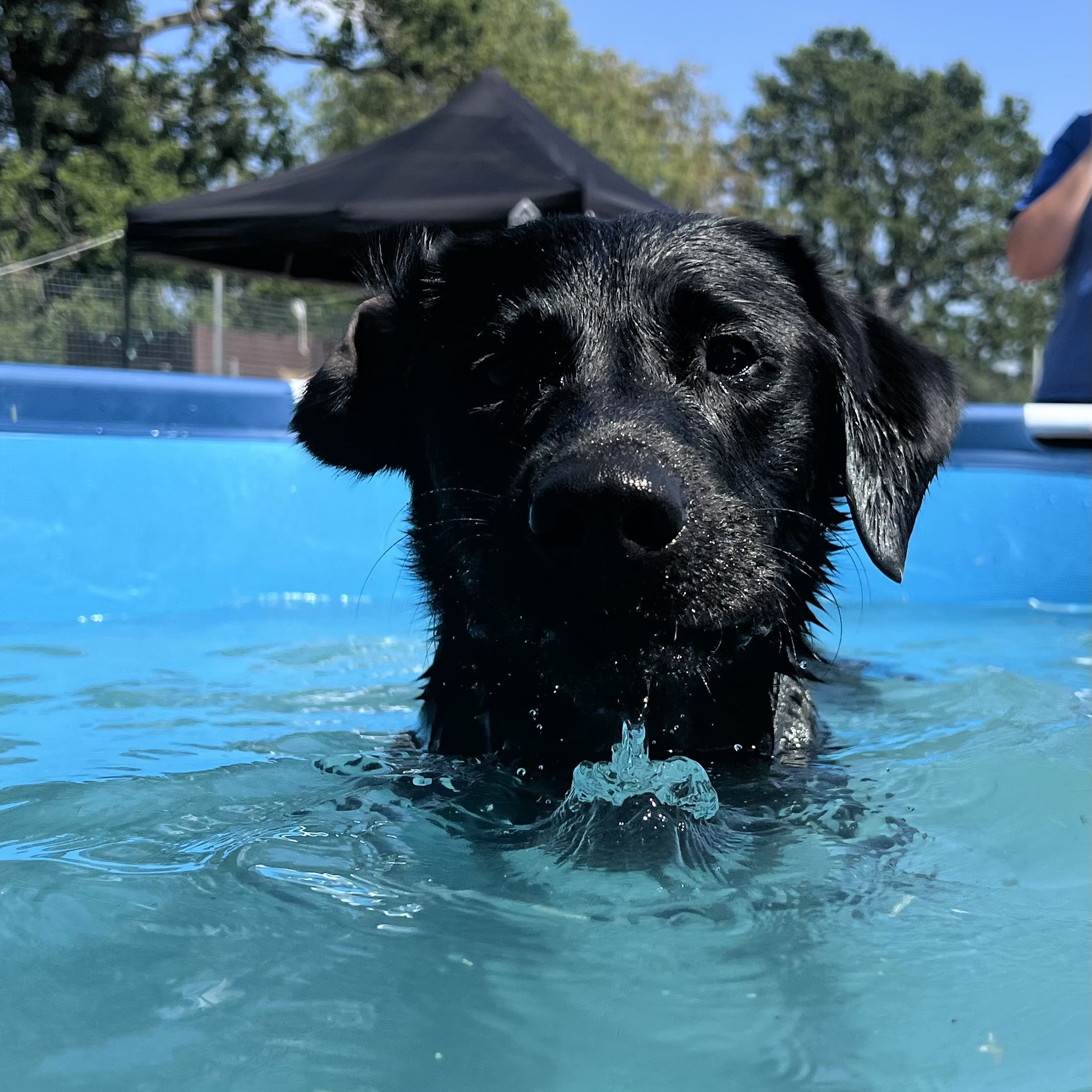 A dip in the pool! 💦