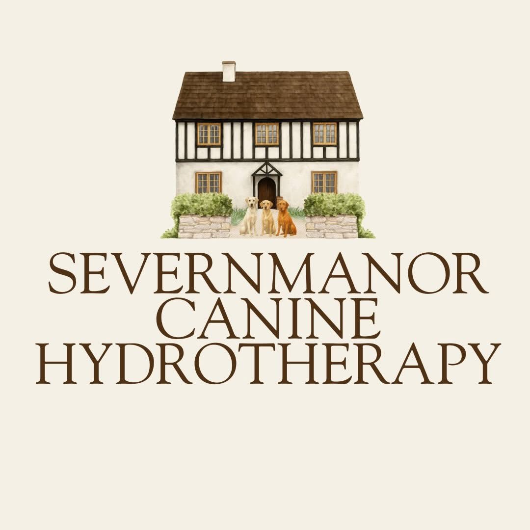 In partnership with Severnmanor Canine Hydrotherapy